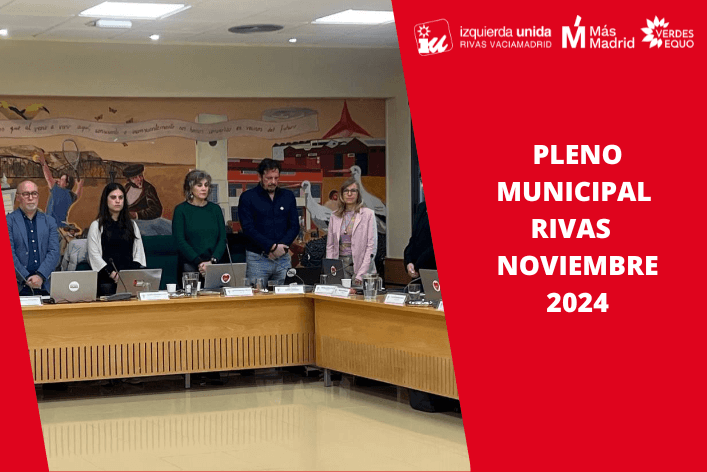 Pleno ordinario de noviembre 2024