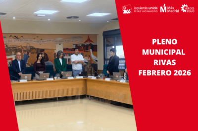 Crónica Pleno Febrero 2026