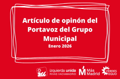 Artículo de opinión enero 2026