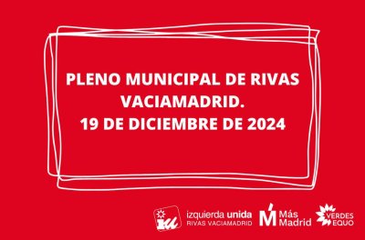 Crónica del pleno de diciembre 2024