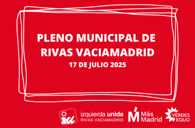 Crónica del pleno de julio 2025