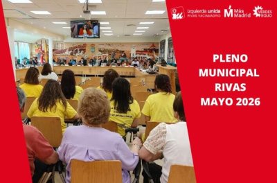 Pleno de mayo 2026
